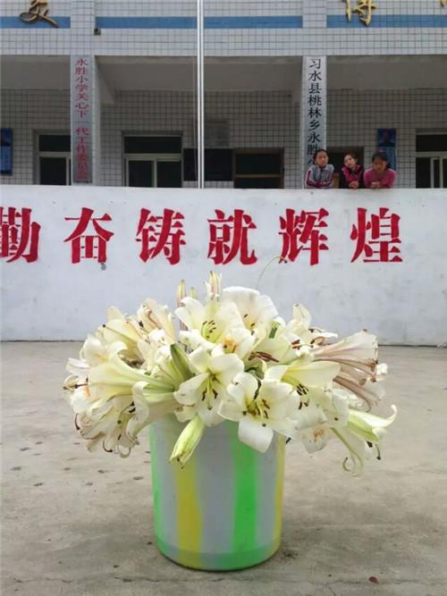 徐州市慈善总会“西部支教2015”项目启动