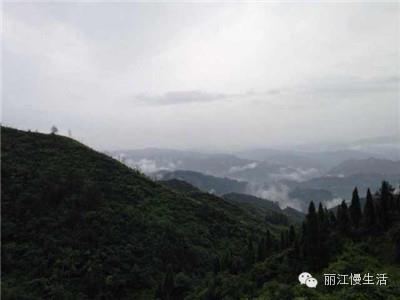 “西部支教行动”在路上