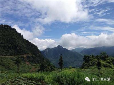 “西部支教行动”阳光正好
